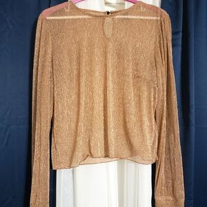 Sparkly, shear blouse.